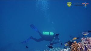 diving spot p adranan1
