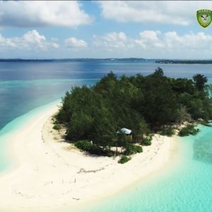 diving spot p adranan4